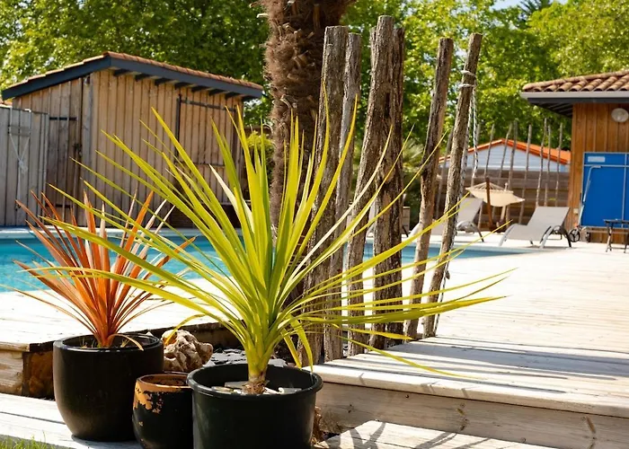 Deconnectez ! A150m Du Bassin Villa