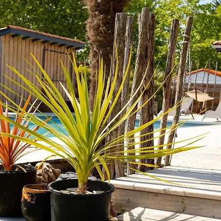 Deconnectez ! A150m Du Bassin 빌라